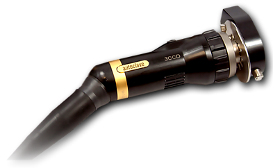 Flexible Endoscope Repair